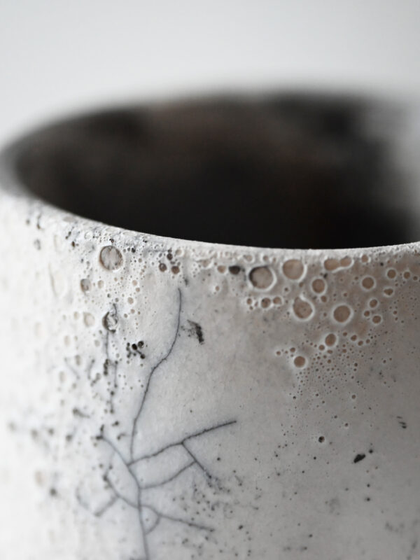 Raku 0.2 - obrazek 3