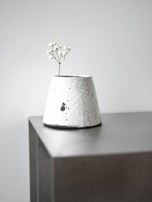 Raku 0.1