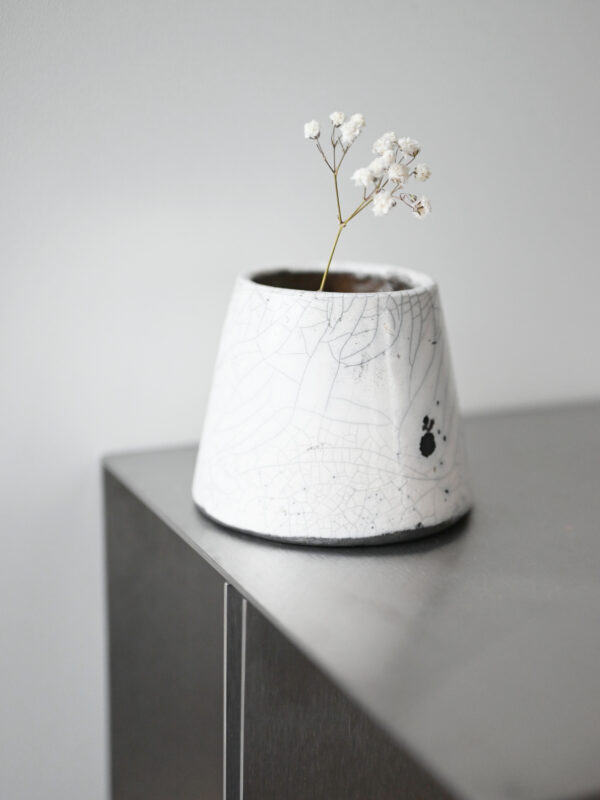 Raku 0.1 - obrazek 3