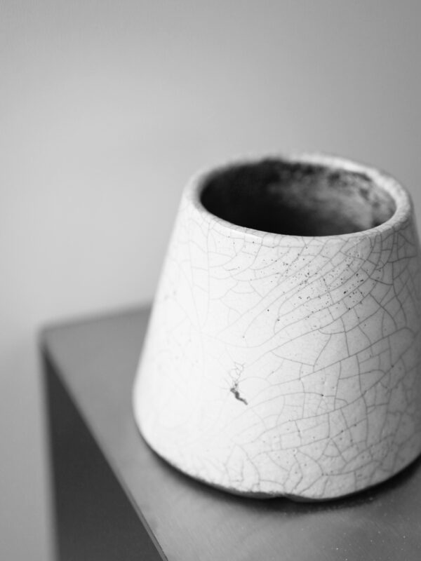 Raku 0.1 - obrazek 2
