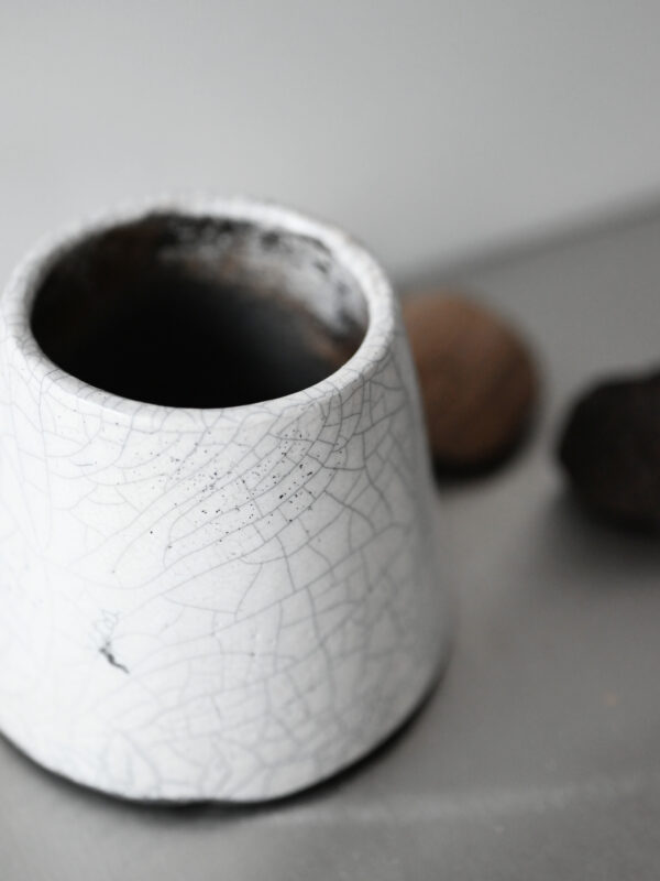 Raku 0.1 - obrazek 4
